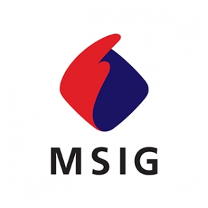 Mitsui Sumitomo Seguros